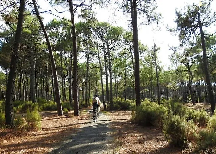 Feriehus Maison A Ocean Avec Piscine, Proche Ocean, Lac, Golf Lacanau